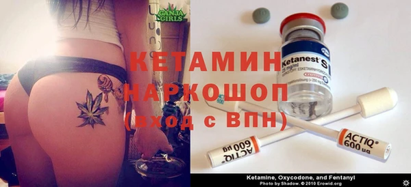 хмурый Алексин