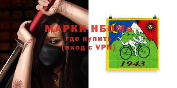 хмурый Алексин