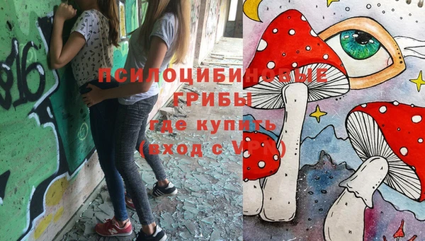 спайс Алзамай