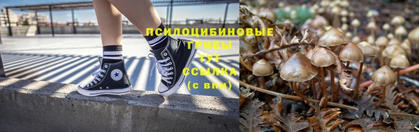 спайс Алзамай