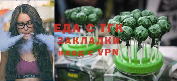 хмурый Алексин