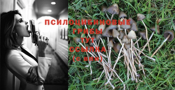 хмурый Алексин