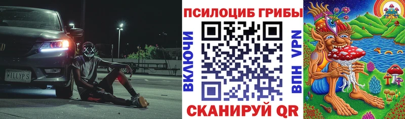 наркошоп  Малоархангельск  Галлюциногенные грибы Psilocybe 
